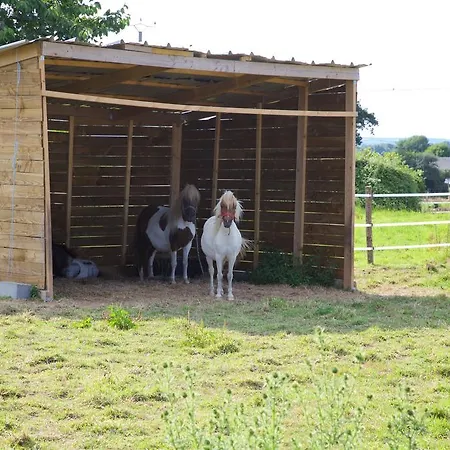 La Petite Chesnee Sacey