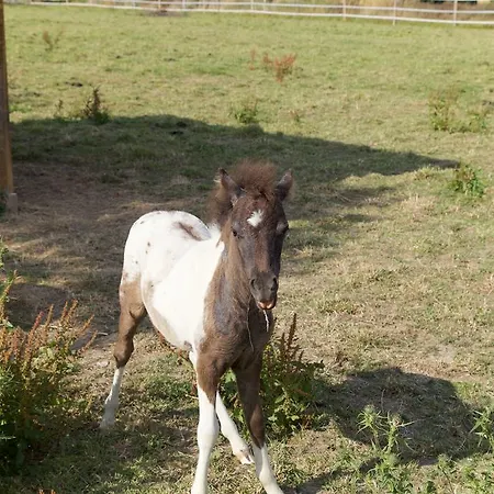 Privatunterkunft La Petite Chesnee