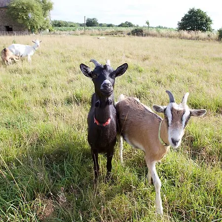 La Petite Chesnee Privatunterkunft