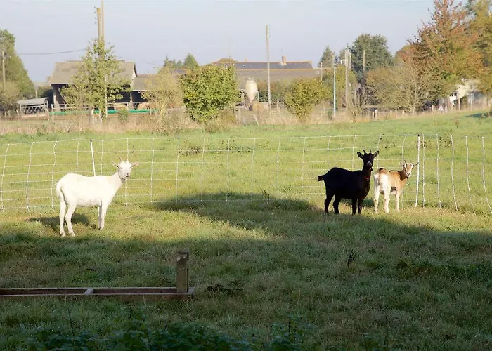 Rum i privatbostad La Petite Chesnee Sacey