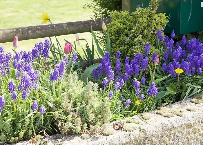 La Petite Chesnee Rum i privatbostad Sacey