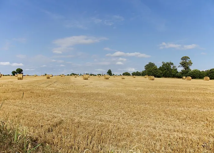 בית אירוח La Petite Chesnee *