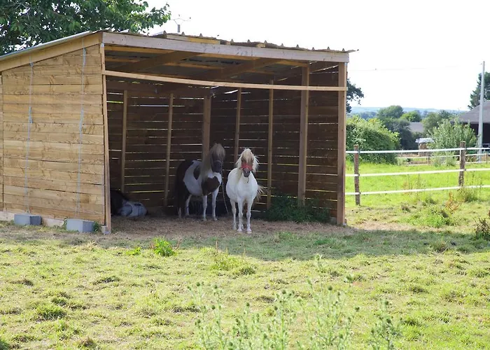 La Petite Chesnee Sacey