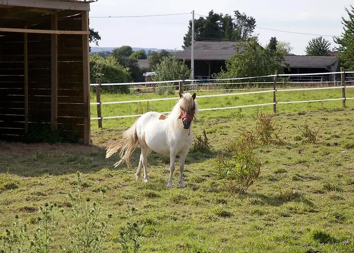 Rum i privatbostad La Petite Chesnee Sacey