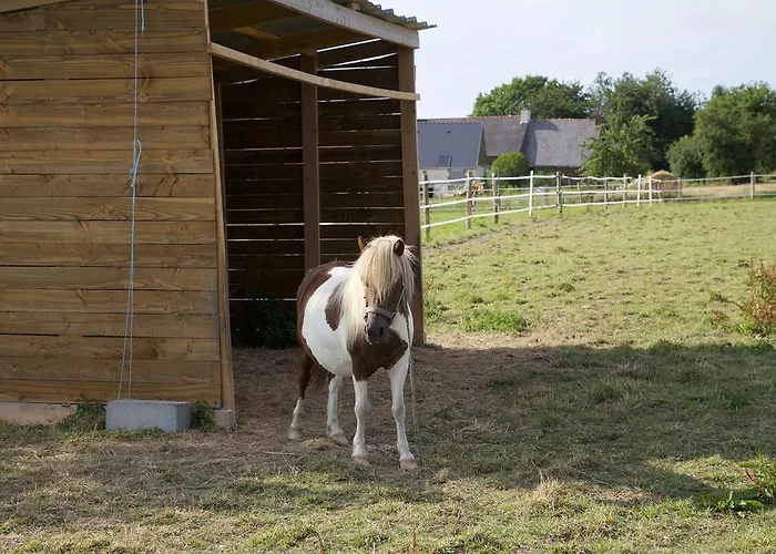 La Petite Chesnee * Sacey