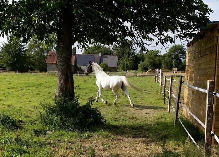 Rum i privatbostad La Petite Chesnee