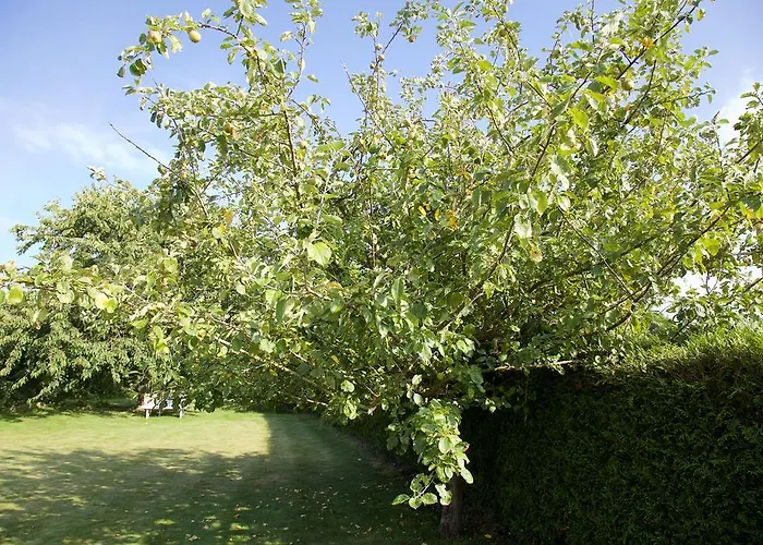 Rum i privatbostad La Petite Chesnee *